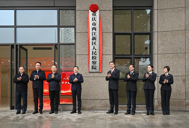 重庆市两江新区a片漫画
揭牌成立